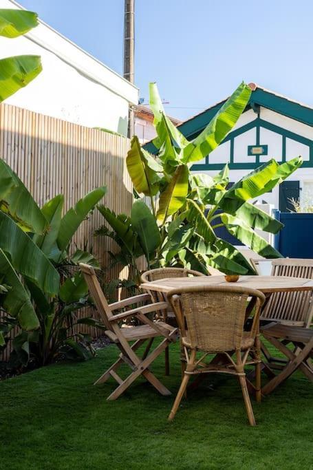 Beautiful Beach House In Front Of The Ocean 비아히쯔 외부 사진